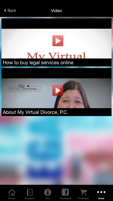 My Virtual Divorce, P.C. screenshot 4