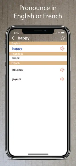 Game screenshot French English Dictionary Pro+ apk
