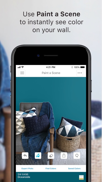 ColorSnap® Visualizer iPhone