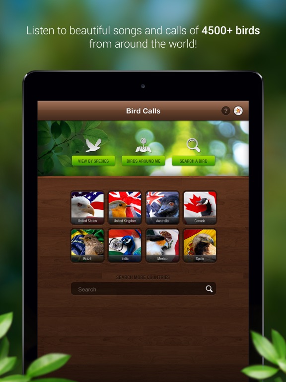 Screenshot #4 pour Bird Songs - Bird Call & Guide