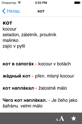Чешско-Русский словарь screenshot 4