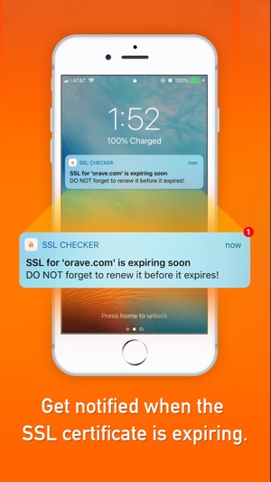 SSL Checker(圖3)-速報App