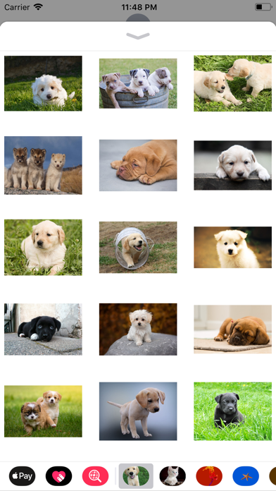 Puppy Sticker Pack screenshot 3