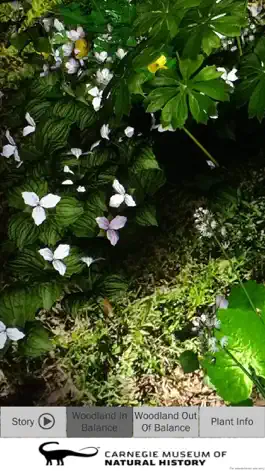 Game screenshot AR Perpetual Garden hack