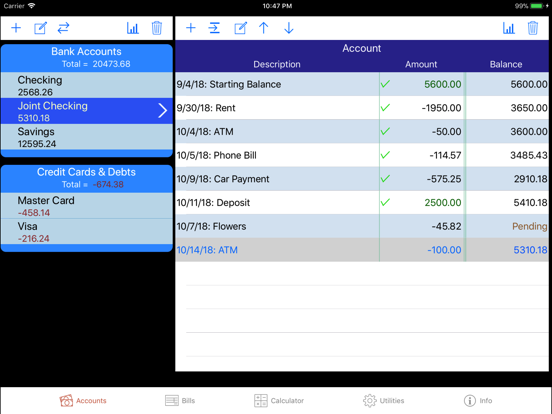 iCheckBalance for iPadのおすすめ画像1