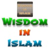 Wisdom in Islam