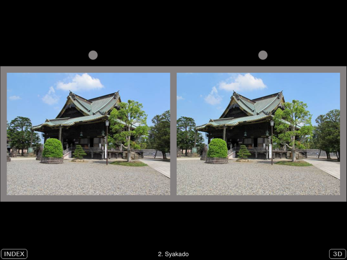 3D Photo Book 3D-NARITA