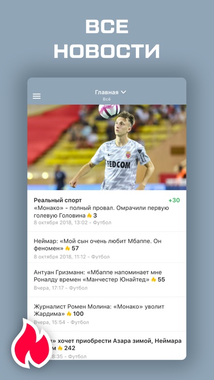 Лига 1. Чемпионат Франции