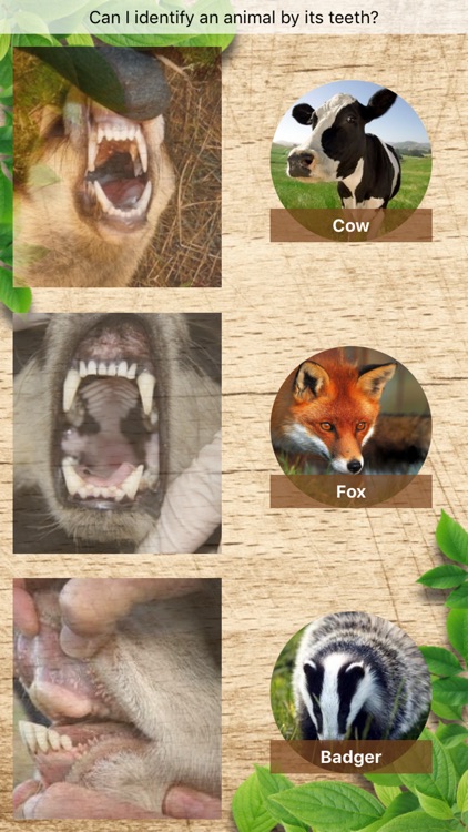 Eco-Explorer screenshot-3