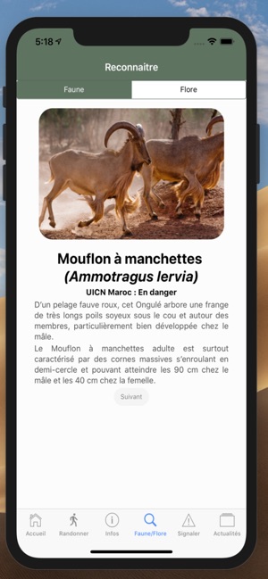 Parc National de Toubkal(圖5)-速報App