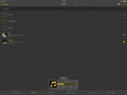 nplayer plus айпад изображения 1