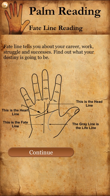 Palm Reader - True Palmistry