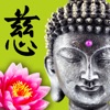 Wisdom Cards - Spiritual Guide icon