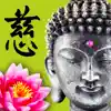 Wisdom Cards - Spiritual Guide App Delete