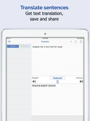 mandarin chinese dictionary + айпад изображения 3