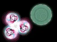 Flux Vortex ipad bilder 0