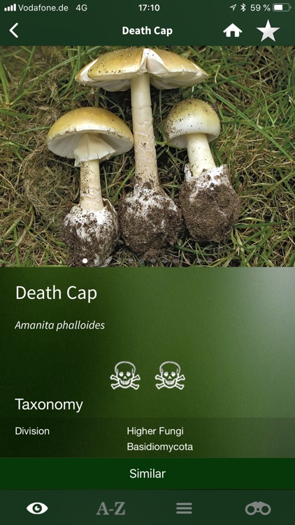Mushroom Guide British Isles screenshot-8