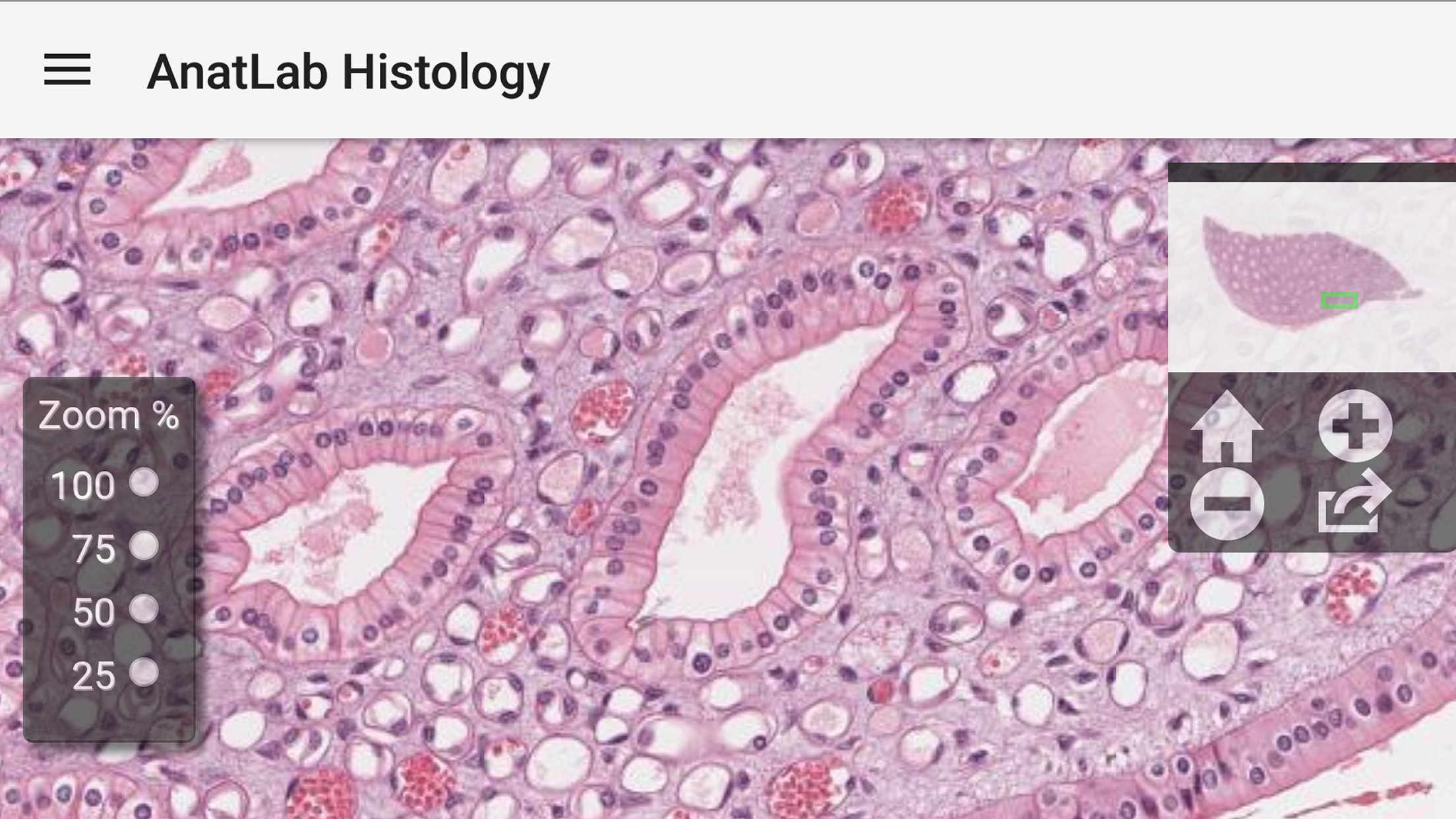 AnatLab Histology