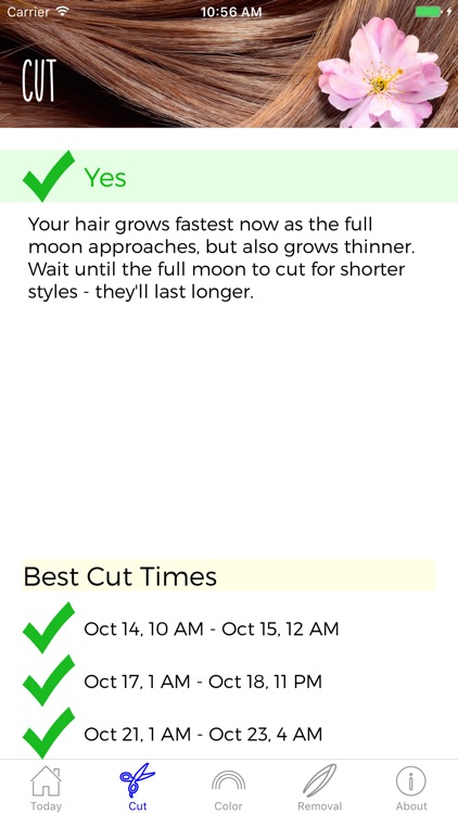 Hair Astrology Professional