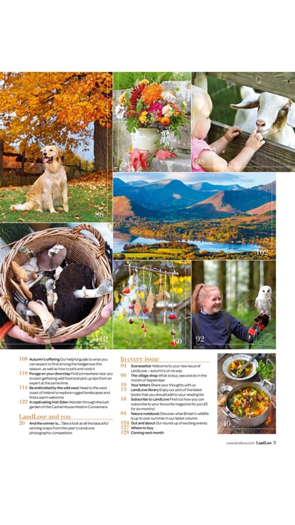 LandLove Magazine screenshot-3
