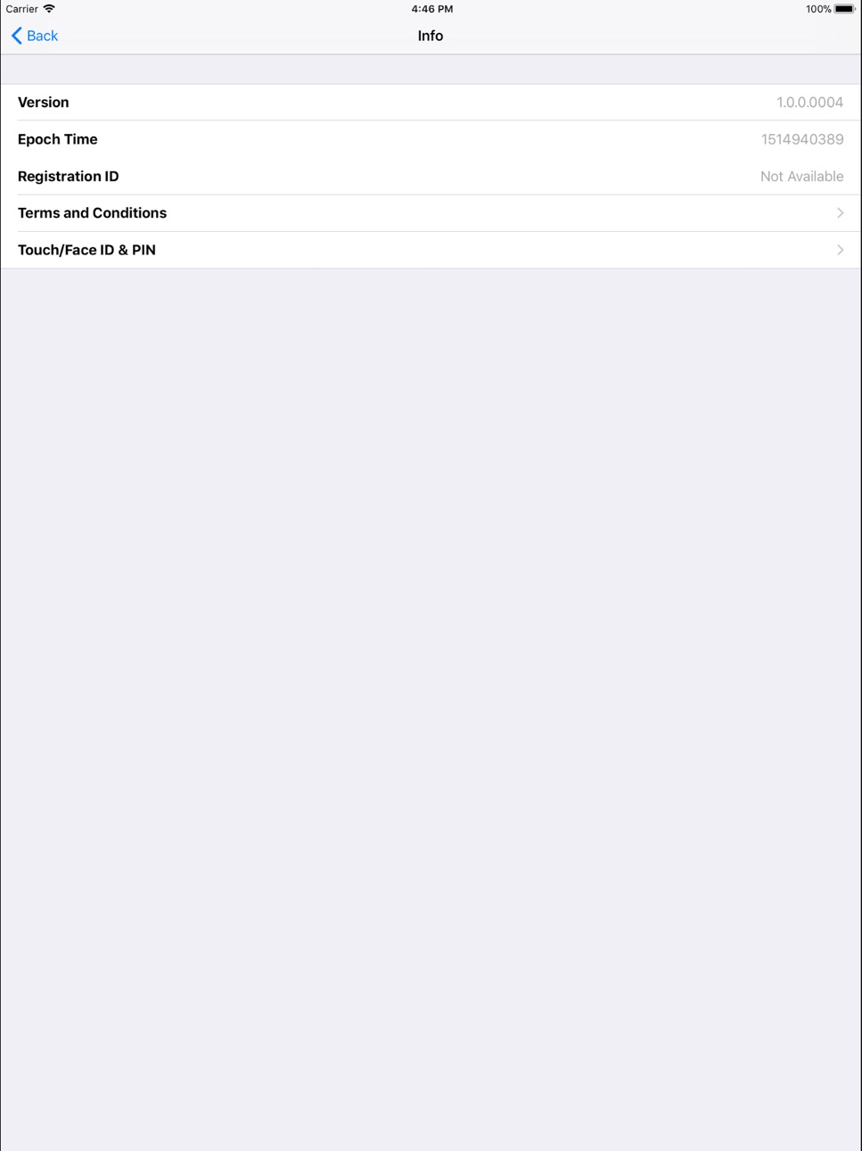 iPad screenshot