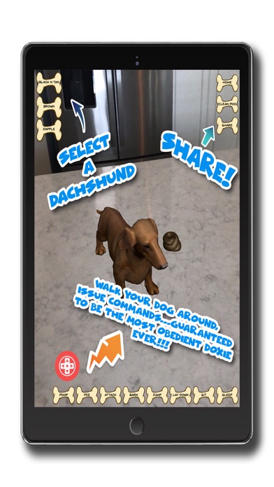 My Pet Dachshund screenshot 2