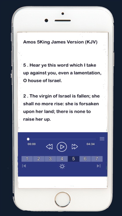 kjv audio bible. screenshot-4
