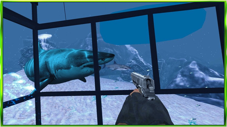 Underwater Sea Hunting