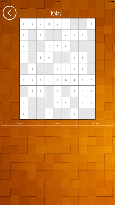 Sudoku TM screenshot 2