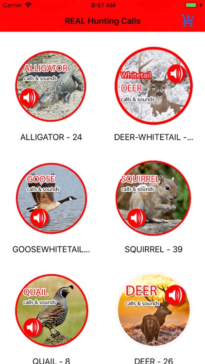 2000+ Animal Sounds Calls screenshot-3