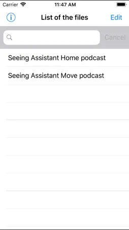 Seeing Assistant Audio screenshot 1