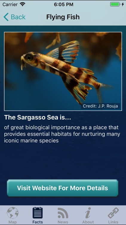 Conserving the Sargasso Sea screenshot-3