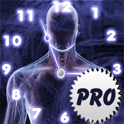 Age Calculator Original Pro