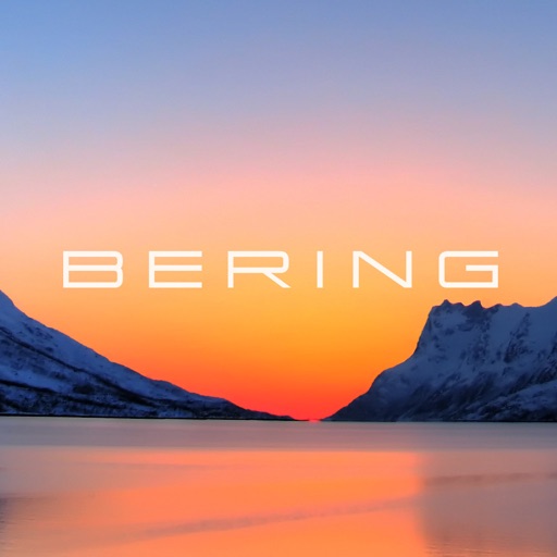 BERING Connected Icon