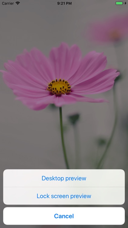 Colorful Wallpaper* screenshot-5