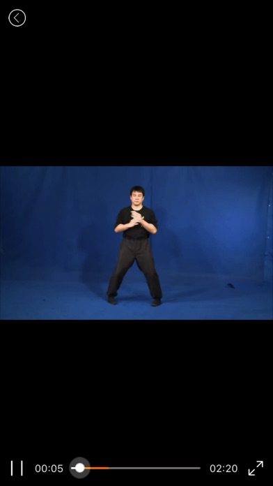 WingChun Kung Fu-咏春拳 screenshot 4