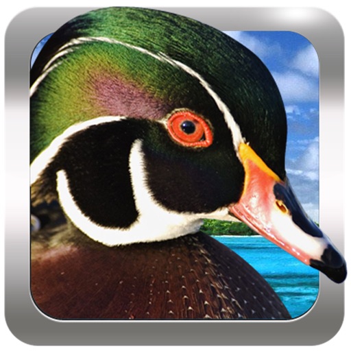 Duck Hunting Calls Lite Icon