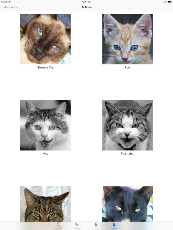 Cat sound - for cat lovers iPad screenshot