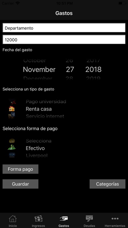 Gastos diarios screenshot-3