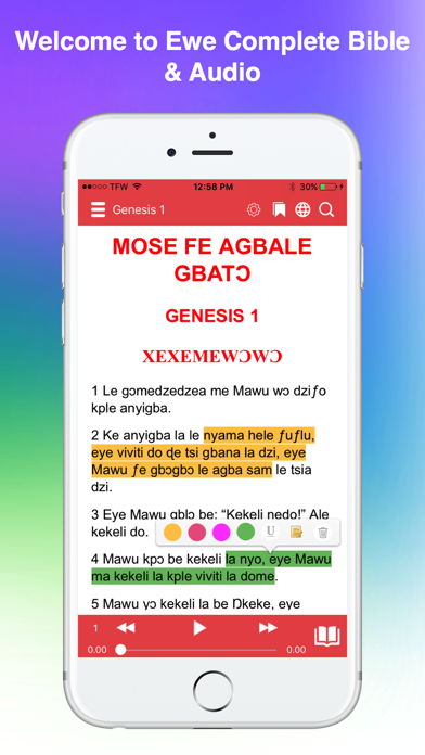 Screenshot #1 pour Ewe Bible