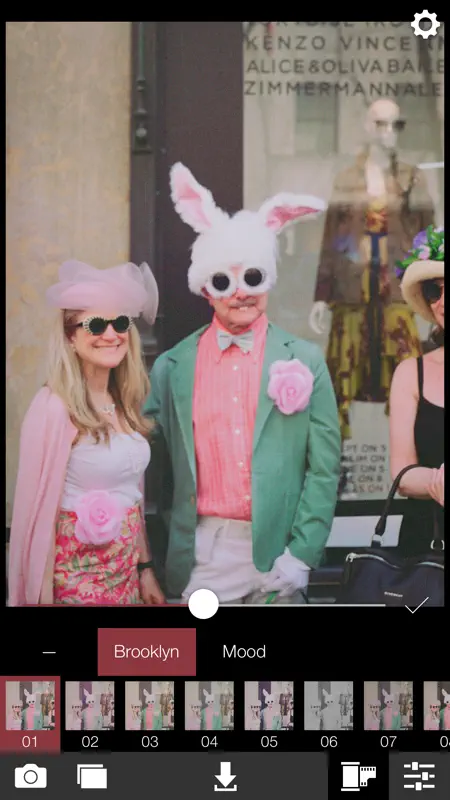 Analog Brooklyn screenshot 2 of 5