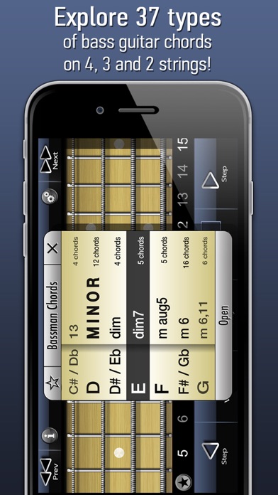 Screenshot #2 pour Bassman Chords