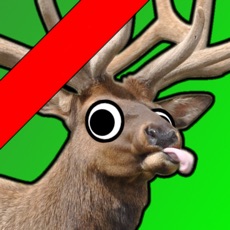 Activities of Elk Murder HD