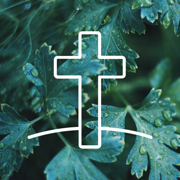 Bible verse of the day Daily devotionals