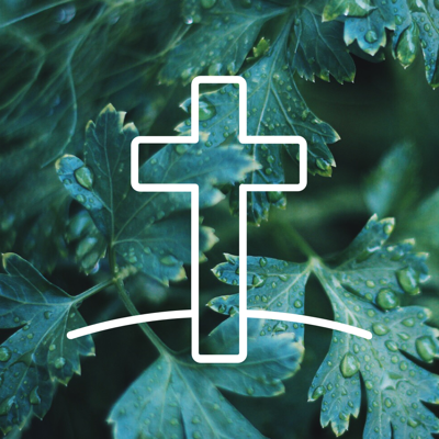 Bible verse of the day Daily devotionals