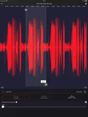 диктофон - voz айпад изображения 2