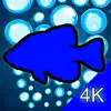 Aquarium 4K - Ultra HD Video App Delete