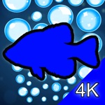 Download Aquarium 4K - Ultra HD Video app