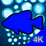 Aquarium 4K - Ultra HD Video App Problems