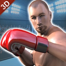 Activities of World Super Boxing Star